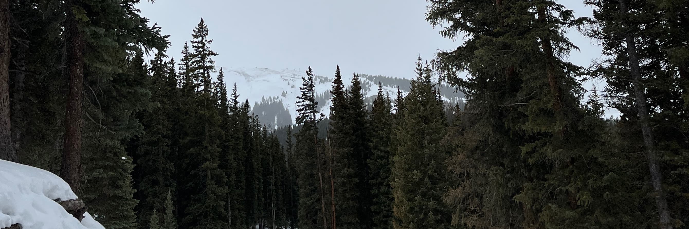 Brooklyn's cover photo